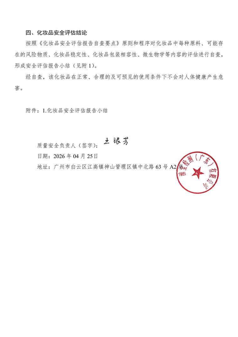 安全评估报告结论页